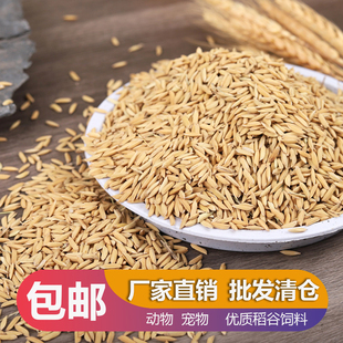 带壳稻谷饲料50斤喂鸡鸭鹅鸽子鸟食圈养禽类新原粮水稻稻子10斤