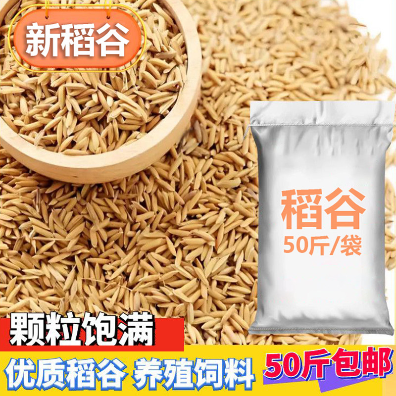带壳稻谷饲料10斤喂鸡鸭鹅鸽子鸟食圈养禽类新原粮宠物50斤包邮
