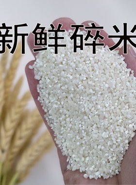 新鲜干净碎米碎大米鸡鸭鹅猪鸟类饲料钓鱼打窝泡料酿酒厂家直销