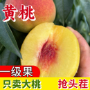 包郵 現摘錦繡黃桃新鮮水果 5斤當季 毛桃子整箱黃肉脆甜油蜜桃橙子