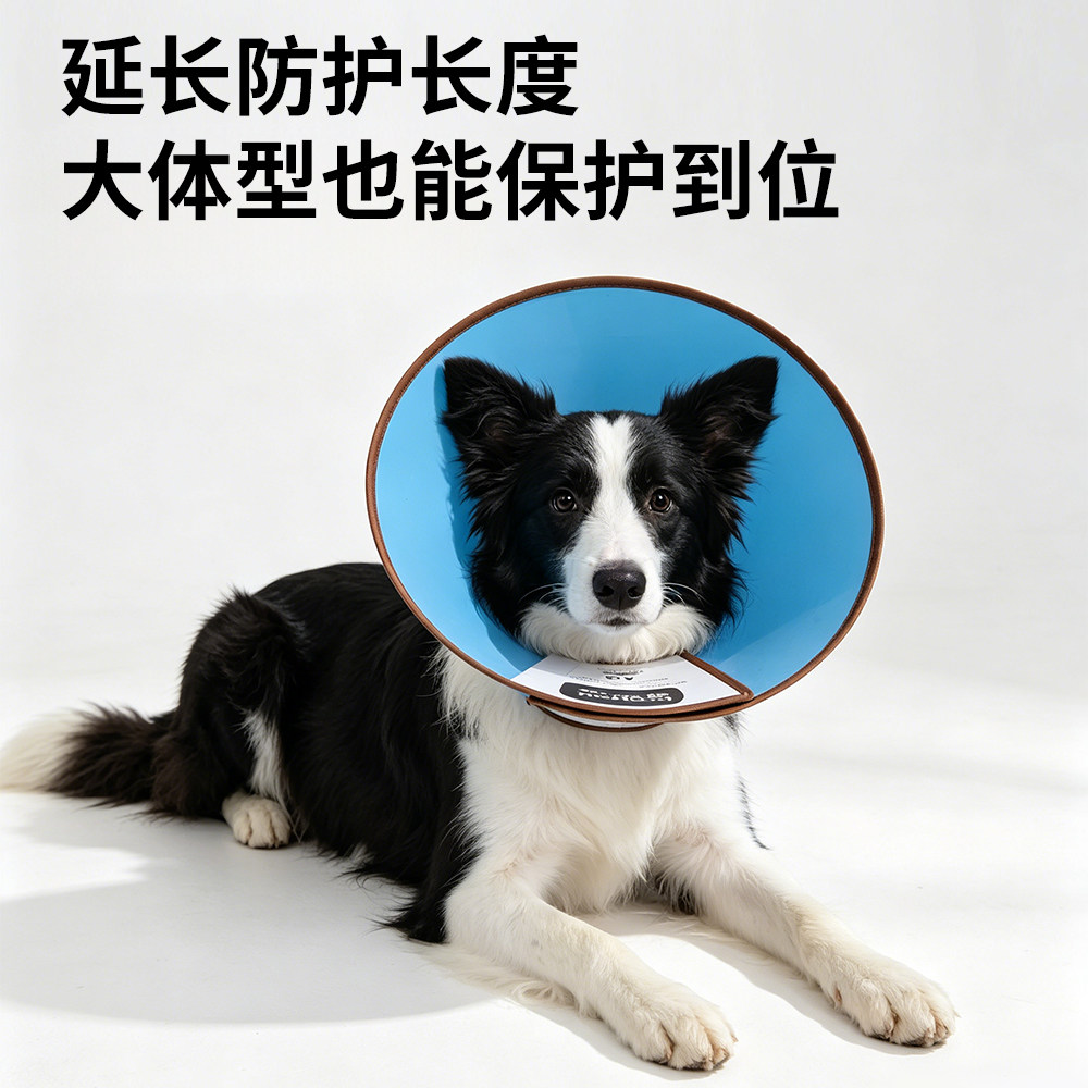 绝育防舔防咬防挣脱软圈加深