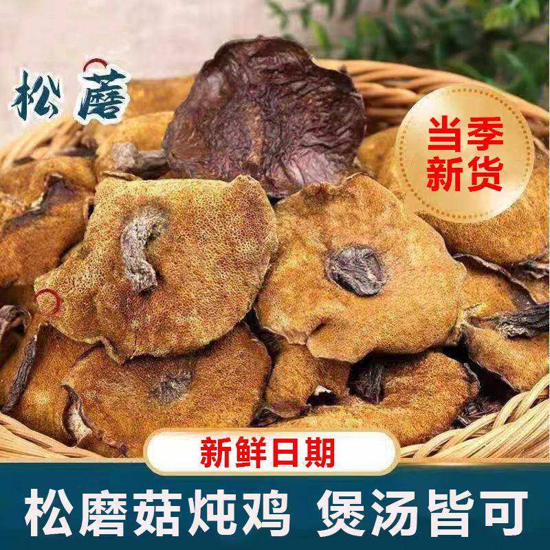 东北松蘑菇野生松蘑新鲜松树蘑菇干货粘团子烘干松树菇松蛾子山珍
