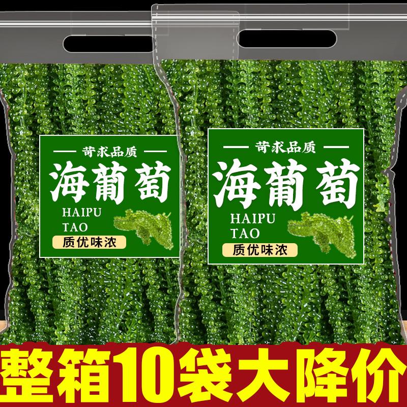 【带蘸料】海葡萄凉拌菜爆珠水葡萄海藻海洋蔬菜儿童绿色鱼子酱