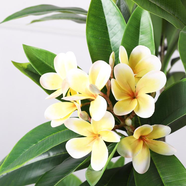 仿真鸡蛋花树大型OLF-5303装庭院造假树饰民植物景盆栽摆设摆件花