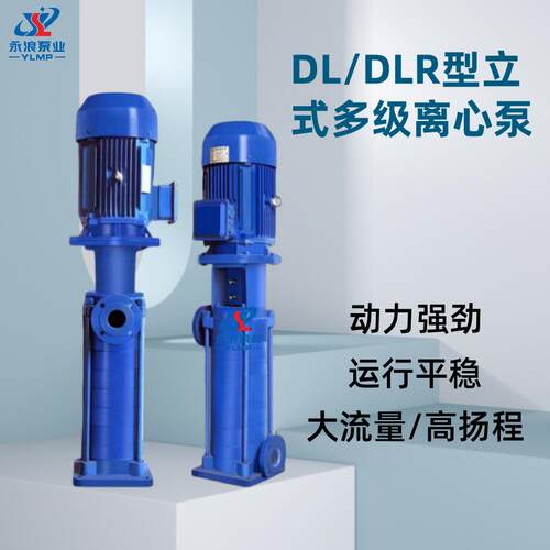 现货直销D水L立式多压级泵DLR热环水循增泵高层建筑供泵高扬程
