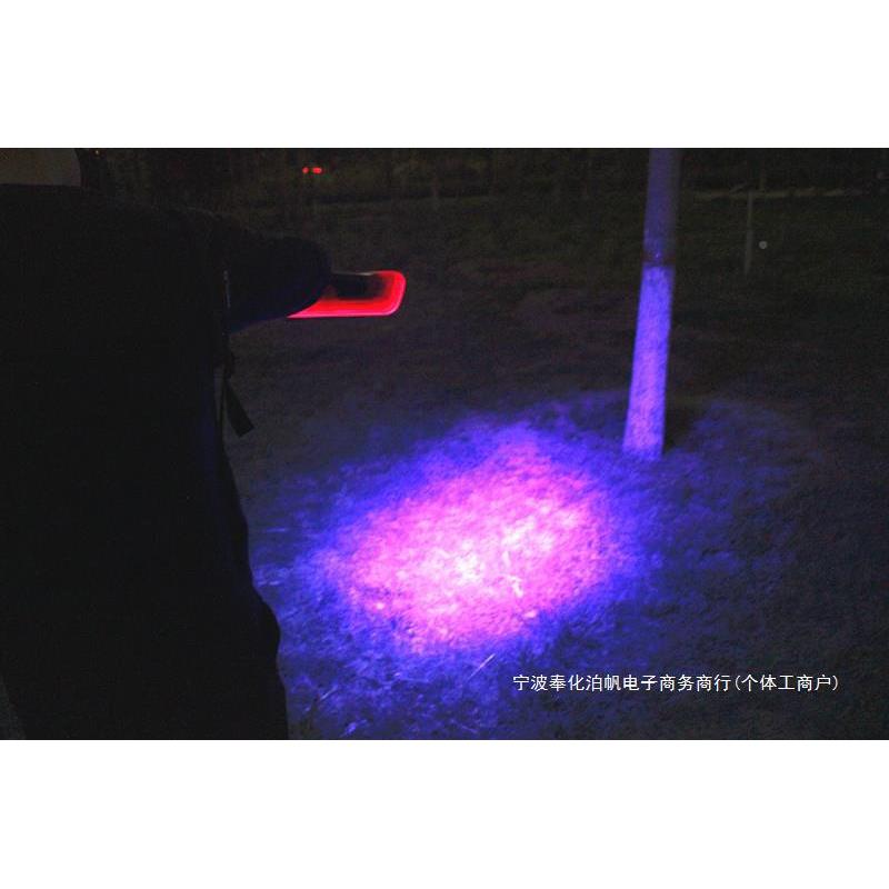 灯蝎子充养殖紫光蝎子紫手电筒蝎子用豆虫强光电手提000光米照明