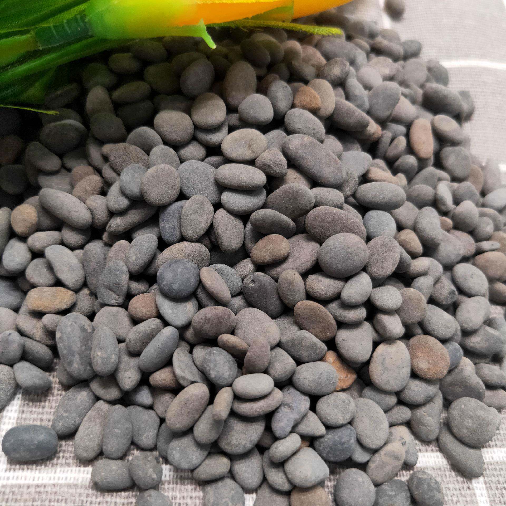 胆铁砂黑景工沙乌龟石鱼缸造黑色抛鹅卵石雨94794花光石