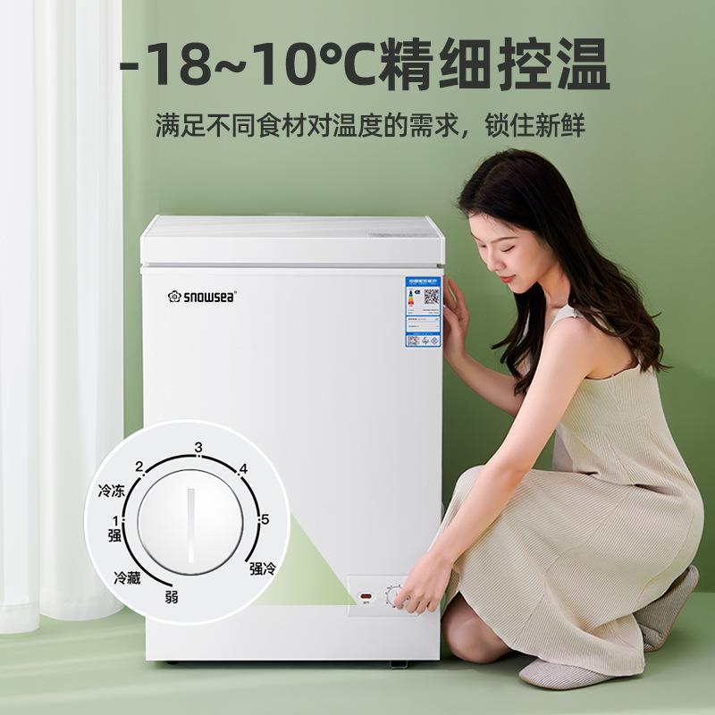 串串冻货摆摊柜冰柜小型家用商用大容量减霜全冷冻冷藏柜节能省电