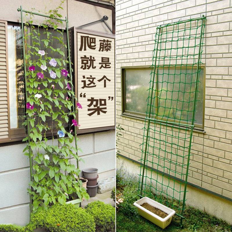 爬藤支架铁线莲杆牵牛花铁线月季藤架葡萄攀爬架阳台庭院架子