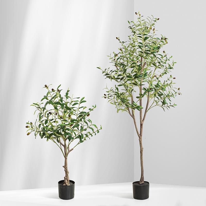 物DHZ植橄榄F86M7JS8树盆栽家居客窗厅内落地大型绿植橱商场装饰