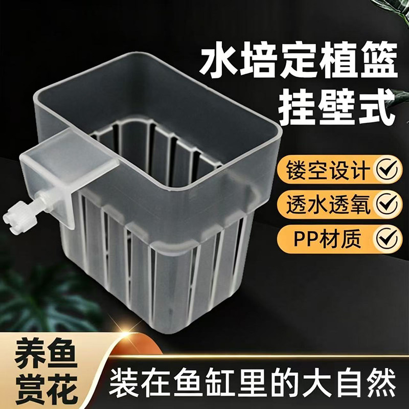 水培定植篮镂空壁挂式透明水培篮加厚绿植鱼缸固定家用定植篮养护