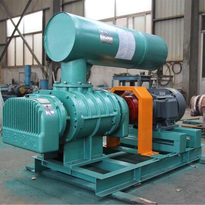 风机 BHSR250三叶罗茨鼓风机 水产养殖 污水处理高压罗茨风机