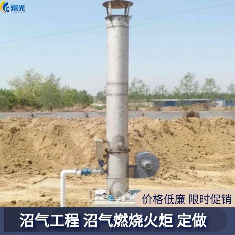 50方立沼气火炬养殖场垃燃烧火炬焚烧火炬圾填埋场小型火炬