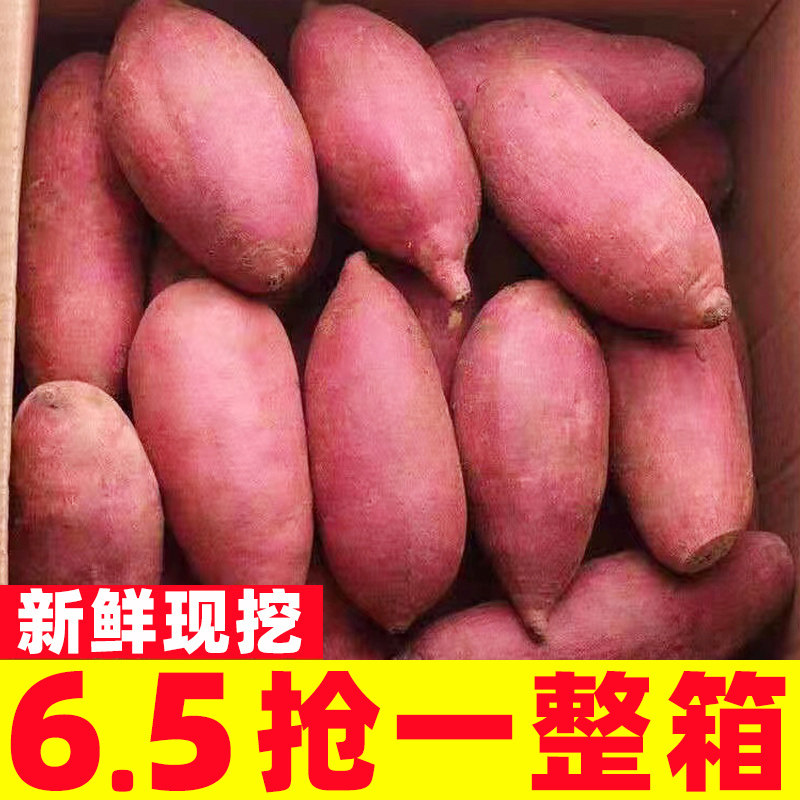 新鲜蜜薯10斤板栗红薯沙地糖心地瓜农家自种番薯现挖红心香薯山芋