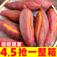 廣西西瓜紅蜜薯新鮮板栗紅薯