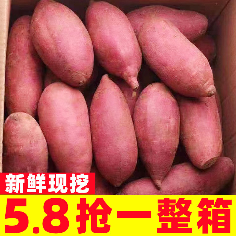 【农家自种】沙地糖心蜜薯小香薯