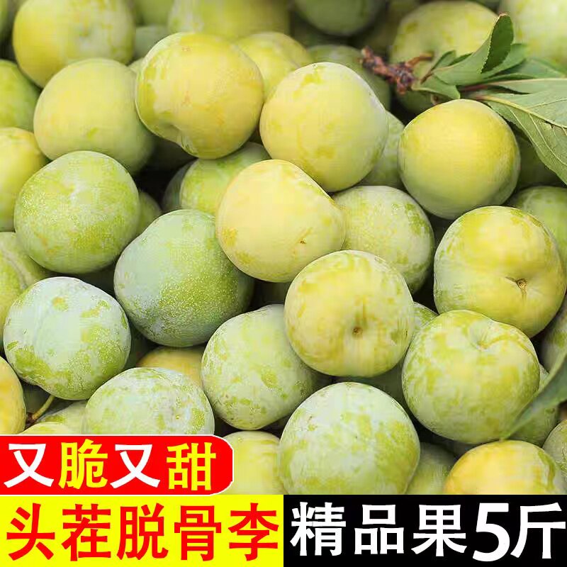 四川青脆脱骨李鲜果李子新鲜水果当季整箱孕妇3月早熟甜蜂李糖