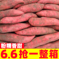 紅薯正宗西瓜紅蜜薯糖心新鮮番薯板栗六鰲沙地地瓜山芋農(nóng)家自種10