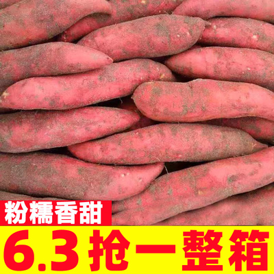 正宗西瓜红蜜薯新鲜糖心板栗