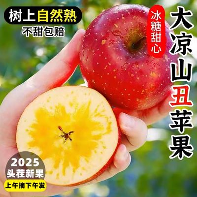 正宗丑苹果冰糖心大凉山盐源新鲜孕妇水果10斤整箱包邮脆甜红富士
