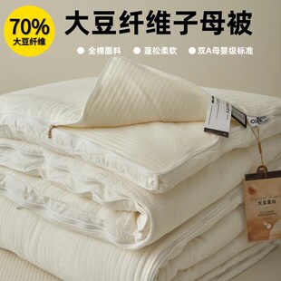 A类大豆被芯棉被秋冬四季 被子220x240加厚子母被全棉提花单人被子