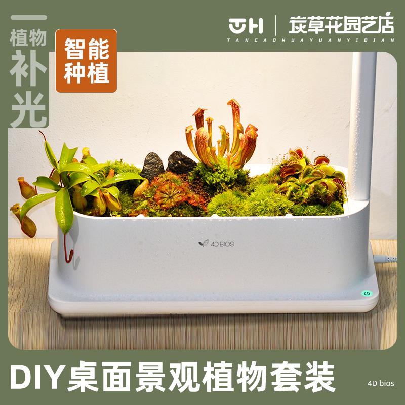 智能种植机食虫捕蝇草补光灯多肉植物盆栽桌面生态微景观创意礼品