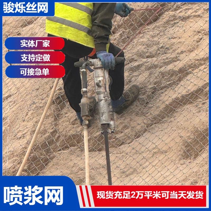 镀锌喷浆植草固土勾花铁丝网矿用锚菱形山坡绿化客土喷播护坡挂网