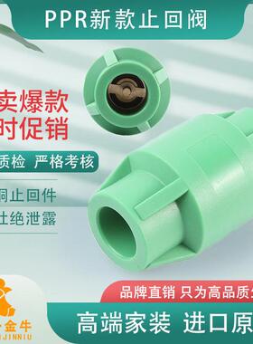 天一 金牛202532PPR止回阀止逆阀逆止阀4分1寸PPR水管管件配件