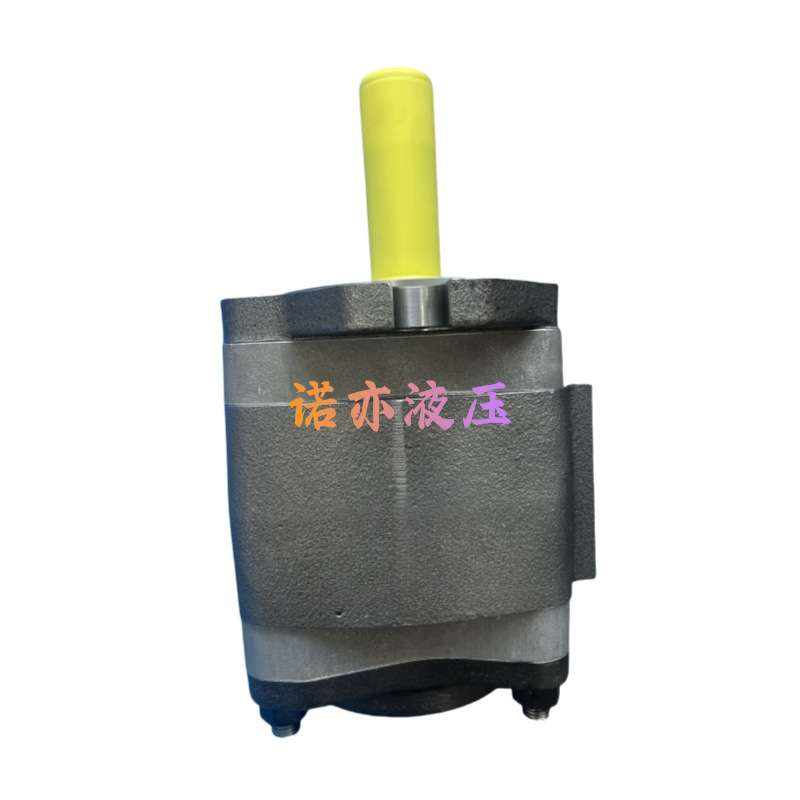 IPVP6-125-101 齿轮泵 IPV6 125 601 德国VOITH注塑机液压油泵