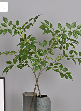 2025新款仿真绿植幸福榕叶装饰客厅摆件发财树枝酒店婚庆插花