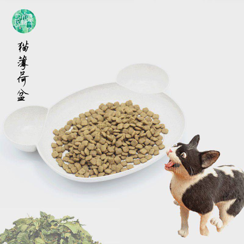 猫薄荷碗狗碗双碗猫碗薄荷诱食碗斜口爆款宠物食盆猫咪用品,宠物/宠物食品及用品,宠物储粮桶,淘宝优惠券,粉丝福利购,淘宝优惠卷