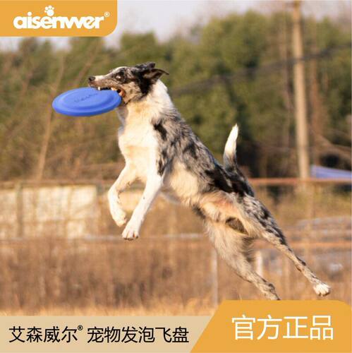 艾森威尔耐咬软飞盘 宠物训练玩具TPR发泡材质可浮水耐咬不伤牙龈
