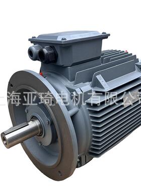 电机茵梦达1TL0003-1CB03-3AA5现货1TL0003铸铁电机IE3