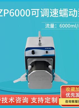 雷熔实验室微型灌装抽水可调速双通道蠕动泵6000ml/min自吸循环泵