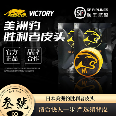 正品皮头台球杆黑八职业九球