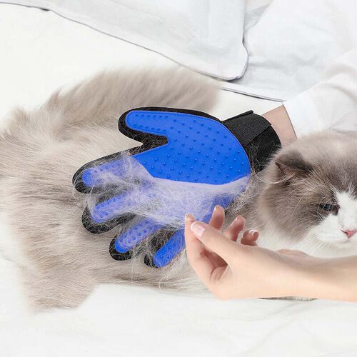 撸猫手套宠物清洁去浮毛刷子 猫毛清理器狗毛防抓咬 撸猫宠物刷子
