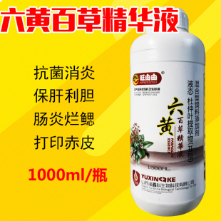 水产养殖鱼药六黄百草精华液中药消毒杀菌保肝利胆鱼虾蟹五黄三黄