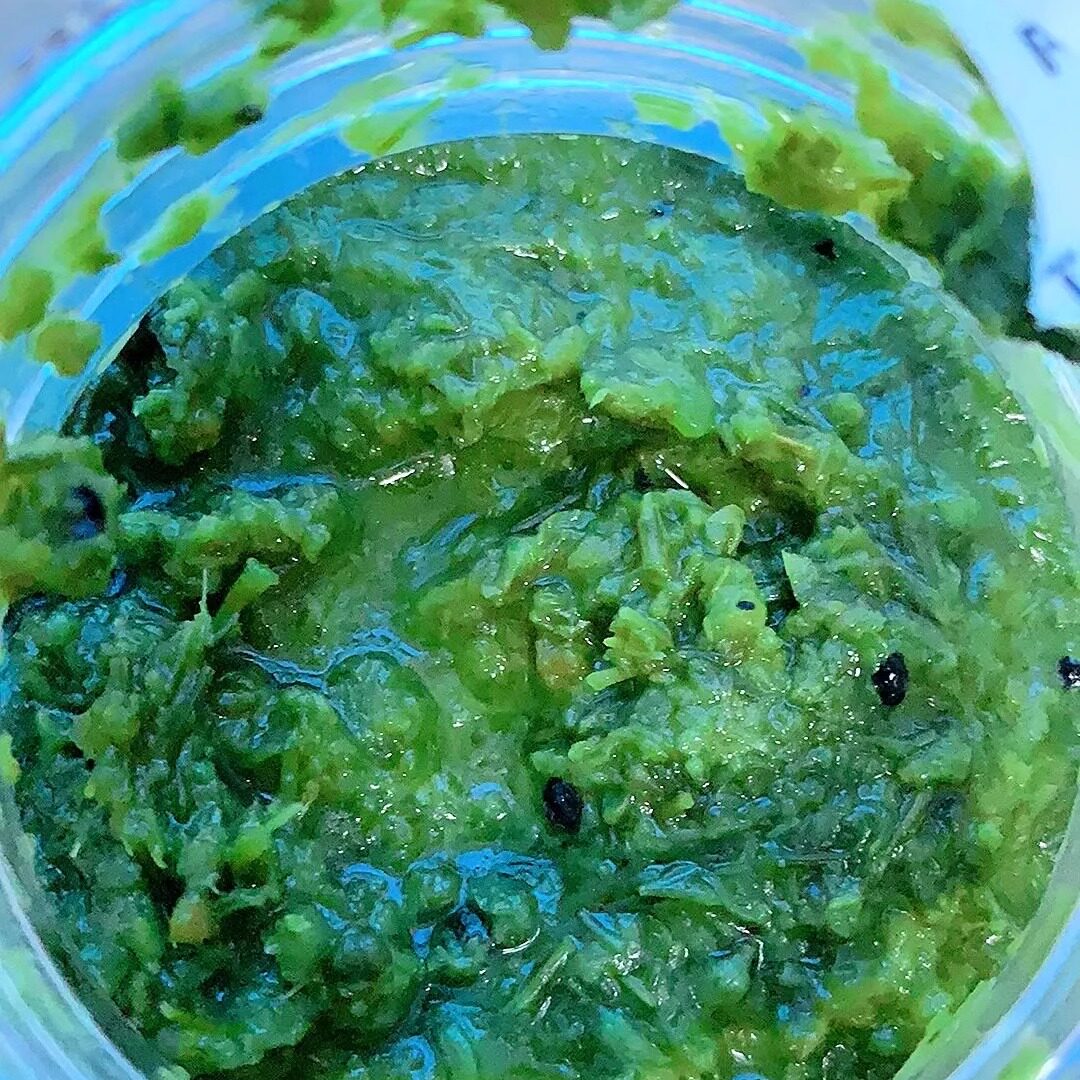 韭菜花酱草原内蒙野生纯韭菜花腌制韭菜花商用瓶装正宗火锅蘸料