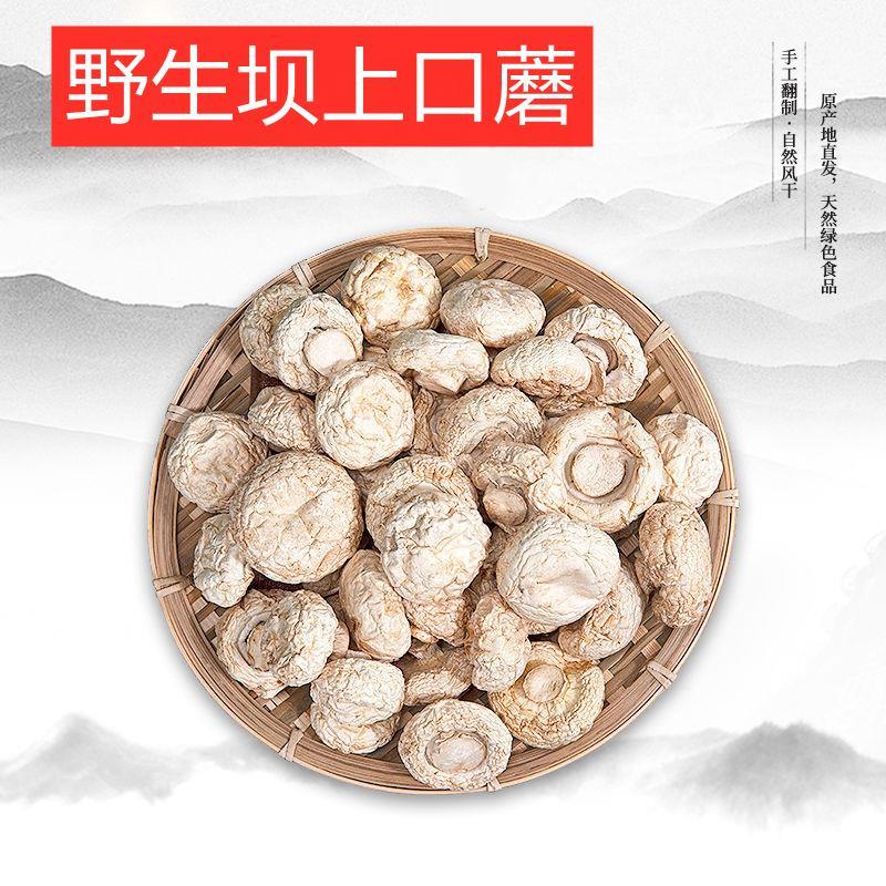 野生口蘑干 干货250克蘑菇坝上白蘑菇自然风干 干无硫健康炖肉煲