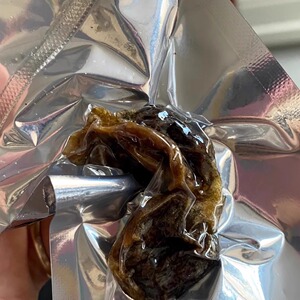 憨牛东北碳烤盐焗风干鸡胗即食干现烤手撕拉丝脆绿色健康低卡零食