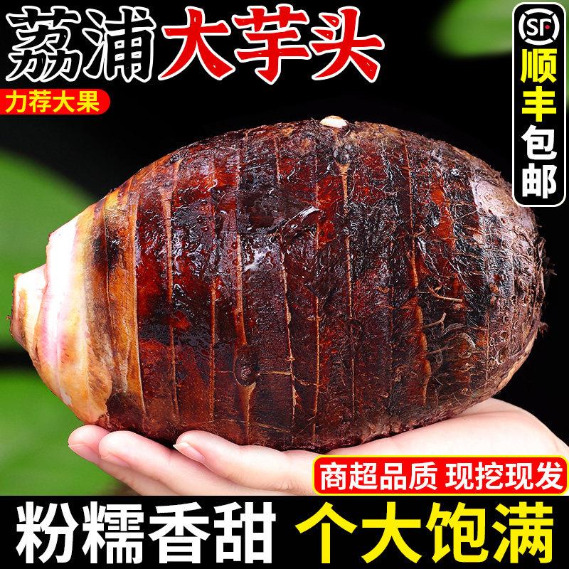广西荔浦新鲜大芋头9斤农家现挖粉香芋正宗槟榔芋紫藤芋顺丰包邮3