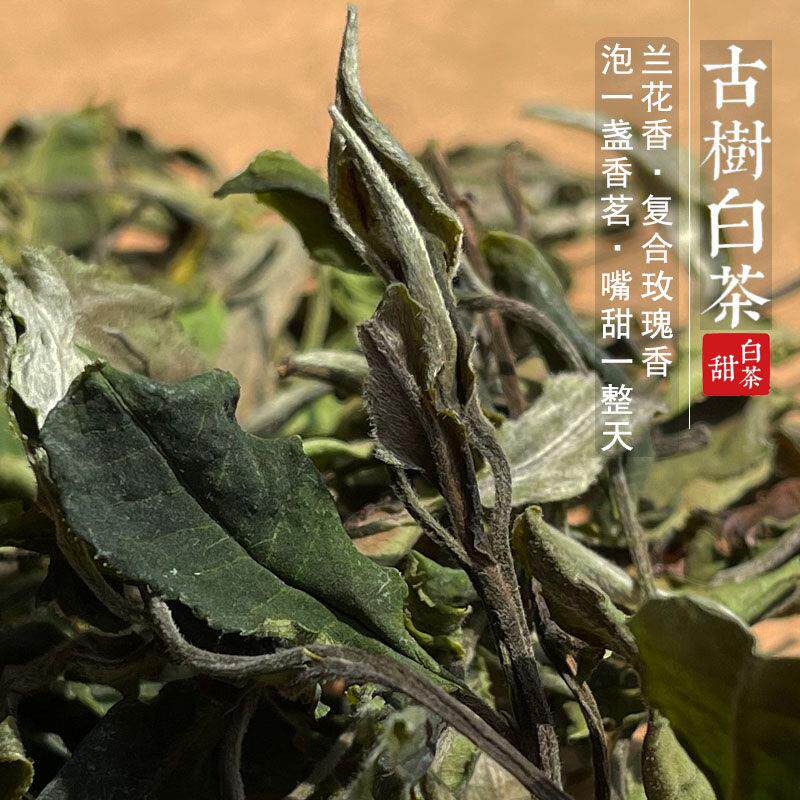 云南古树白茶森林玫瑰花蜜韵月光白散茶甜润清爽回甘生津越陈越香