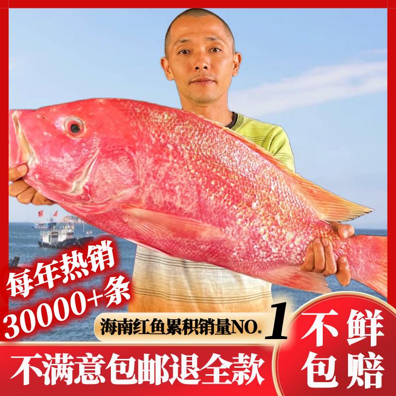 .儋州大红鱼干海南特产海鲜干货整条深海淡口咸鱼非湛江广西北海