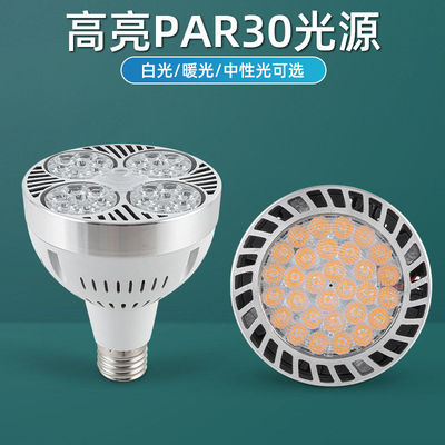 轨道射灯灯泡par30单灯