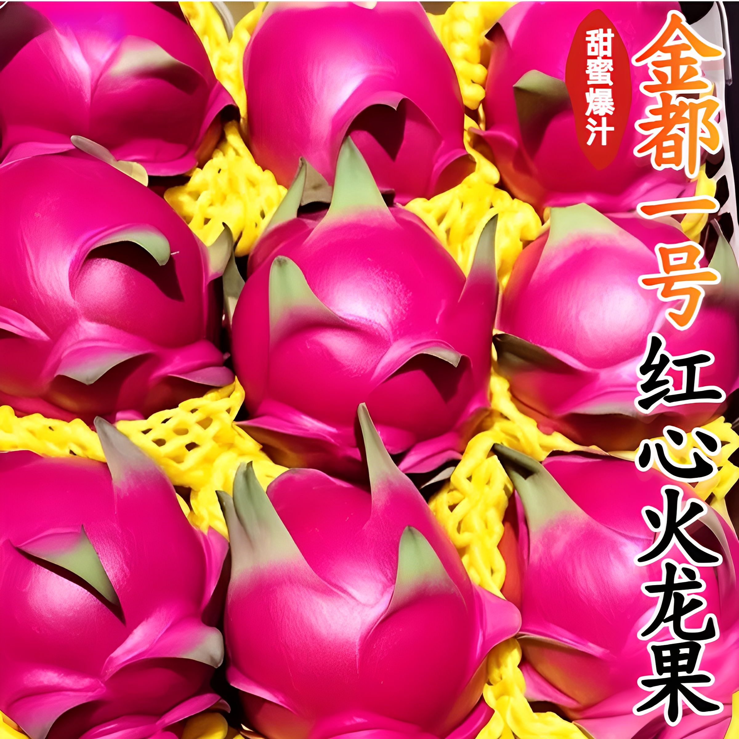 广西金都一号红心红肉火龙果