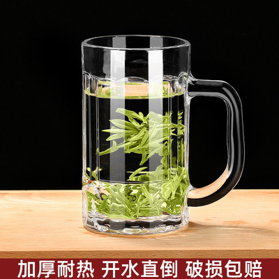 带把手玻璃杯家用杯子水杯套装啤酒杯扎啤喝水泡茶大容量带把茶杯