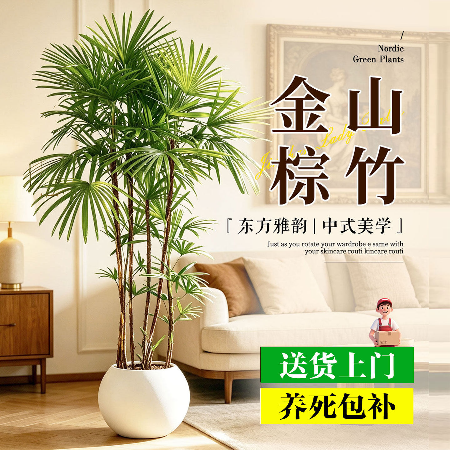 金山棕竹盆栽室内办公室卧室室外阳台植物好养活四季绿植竹子盆栽