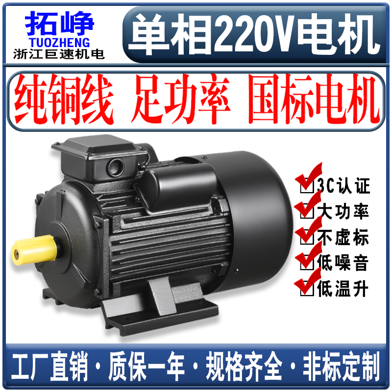 拓峥国标220V全铜四级电动机