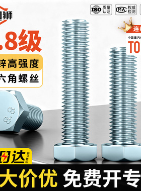 8.8级镀锌外六角螺丝蓝白锌螺栓加长高强度全牙大全M6M8M10M12M16