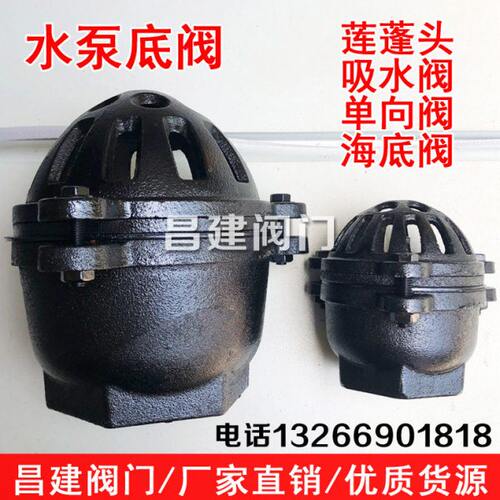 抽水泵底阀 内螺纹丝扣吸水阀 铸铁止回阀DN25 40 50 65 80 100
